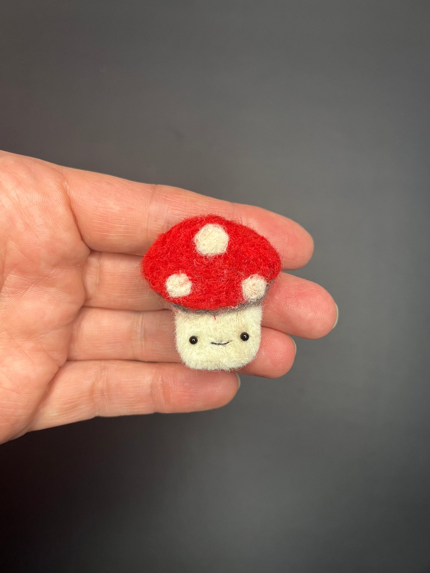 Adorable needle felted mushroom pin