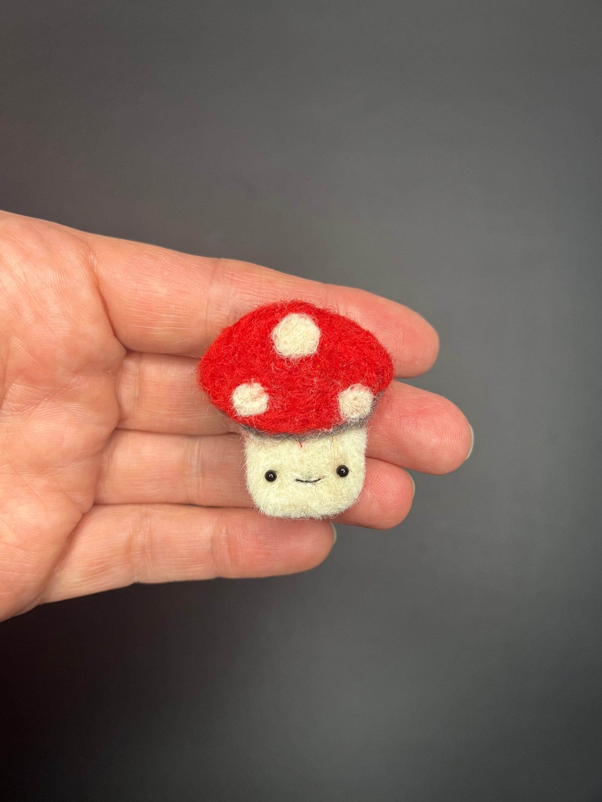 Adorable needle felted mushroom pin