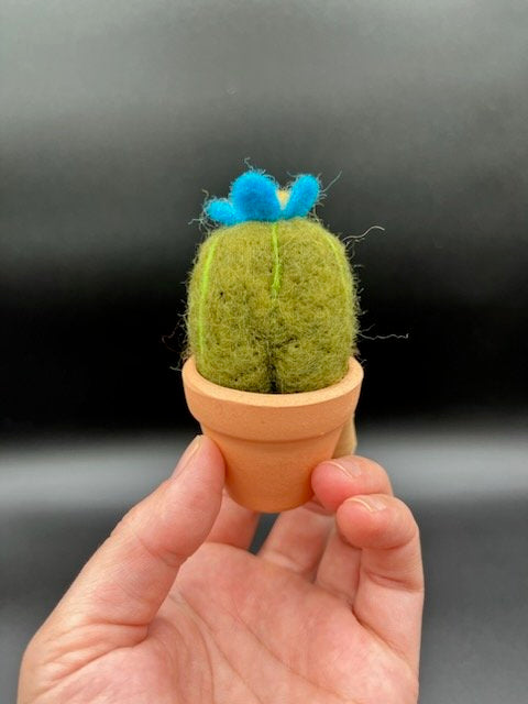 Make this adorable chunky cactus at home, with this easy to follow DIY needle felting kit.