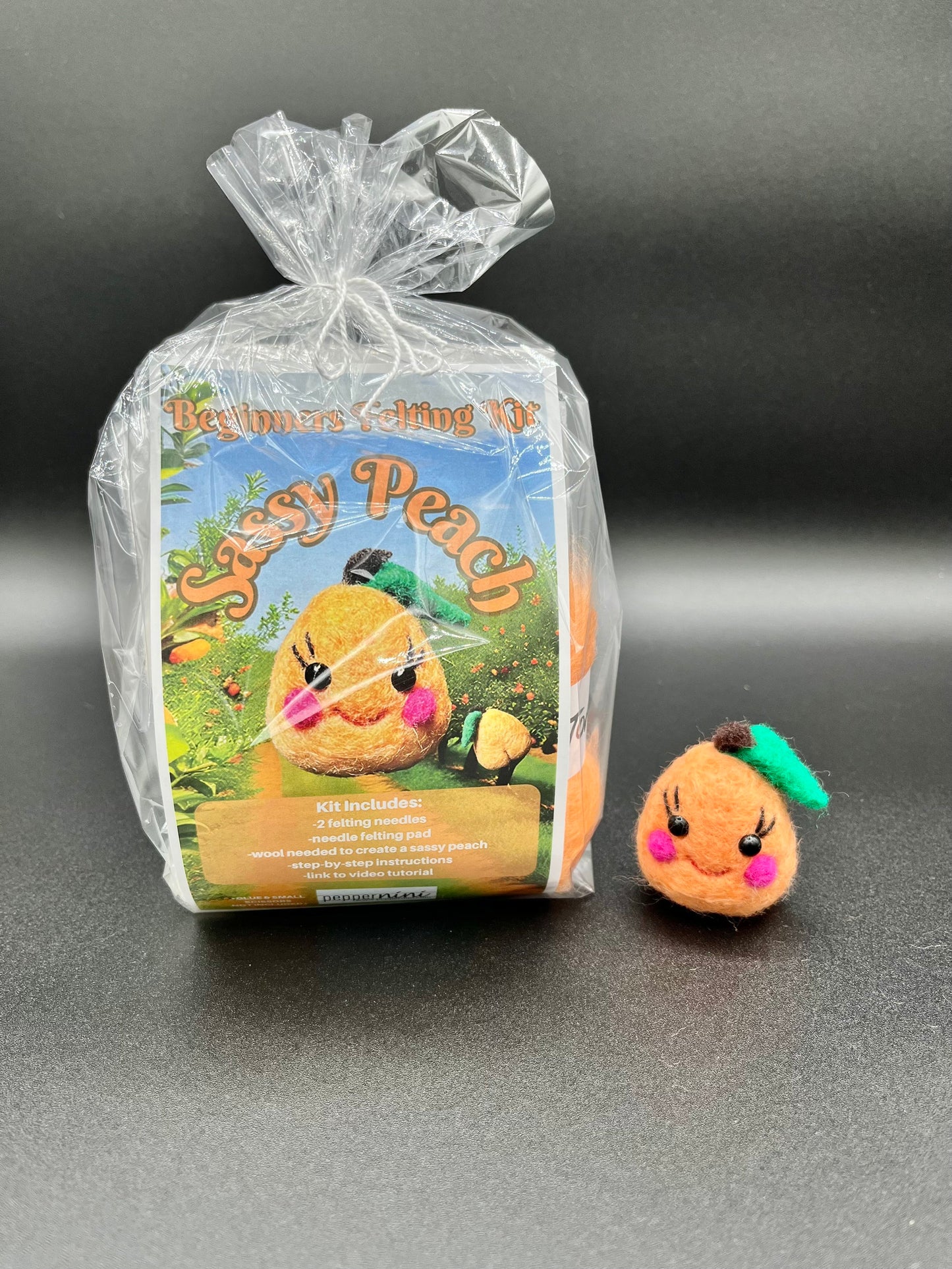 SASSY PEACH Beginners Needle Felting Kit. Easy to follow printable PDF instructions & YouTube Tutorial link. All supplies included!