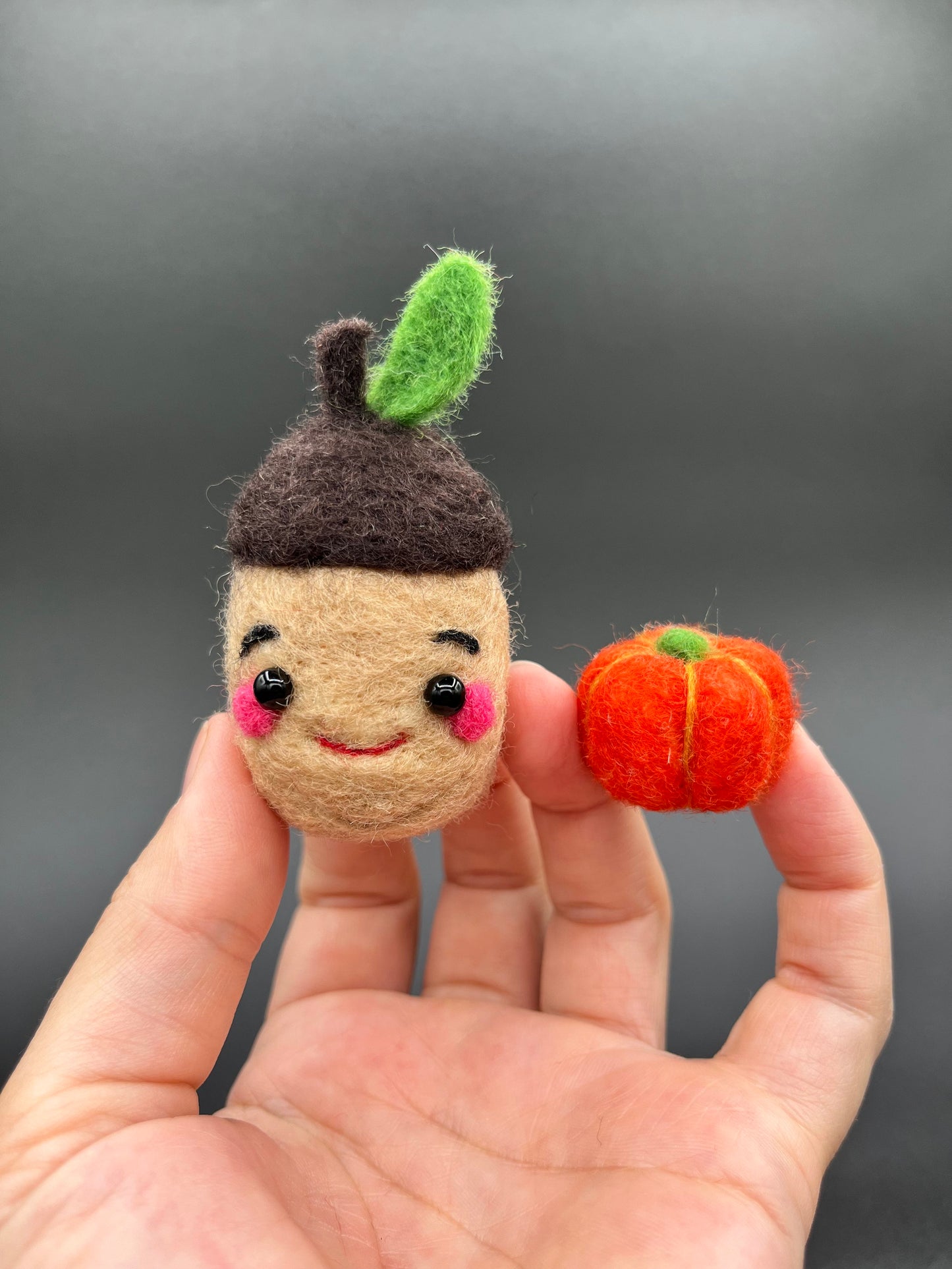 Create this adorable acorn and mini pumpkin at home with this easy to follow DIY needle felting kit. 