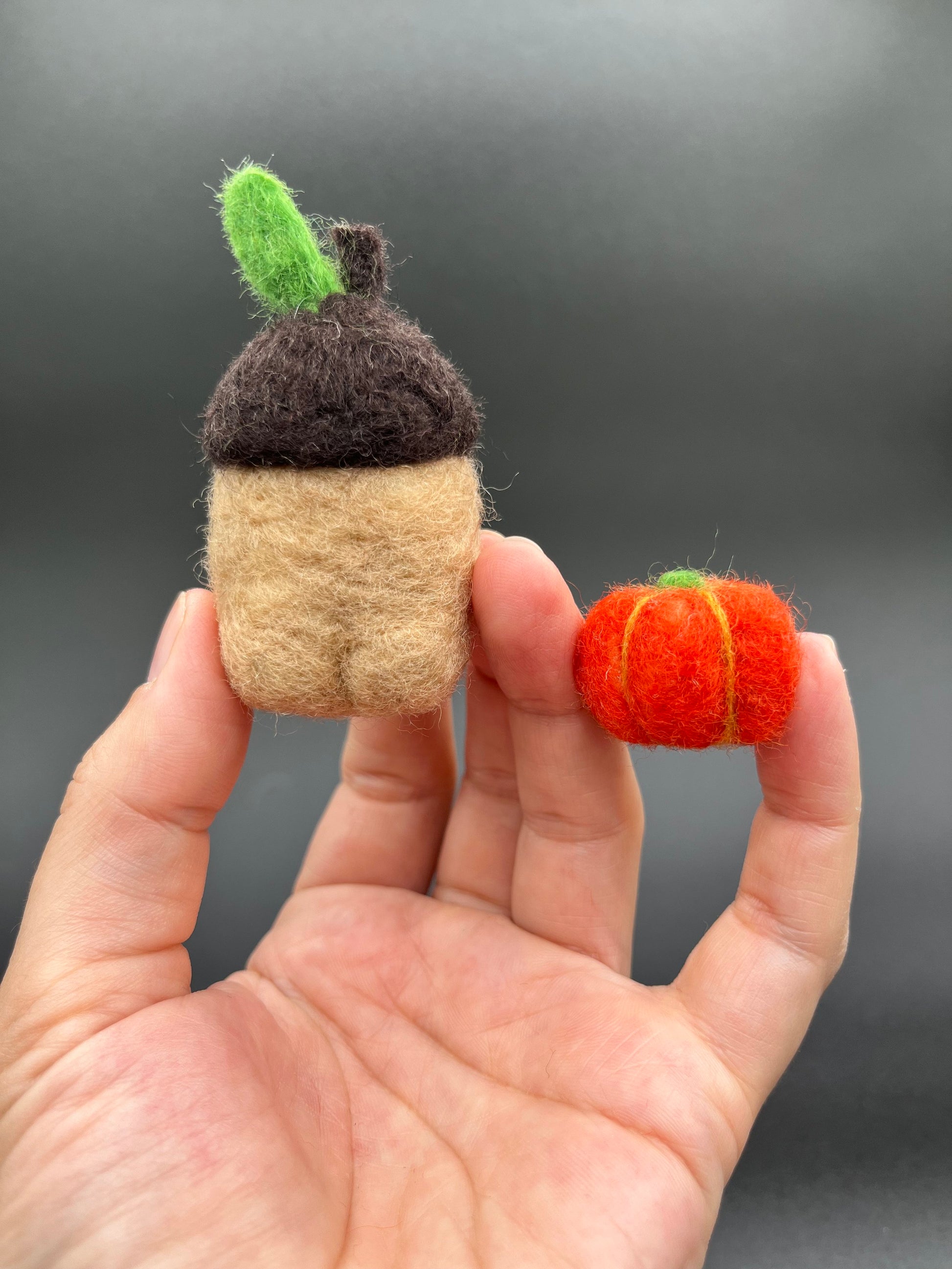 Create this adorable acorn and mini pumpkin at home with this easy to follow DIY needle felting kit. 