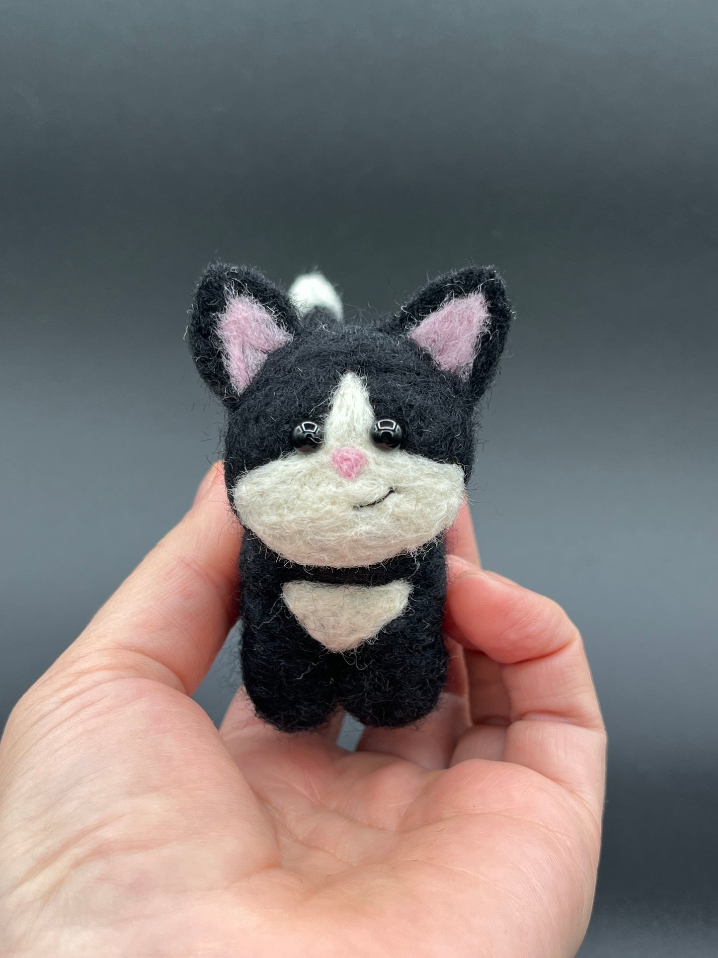 Make this cute cheeky kitty at home with the easy to follow YouTube tutorial 