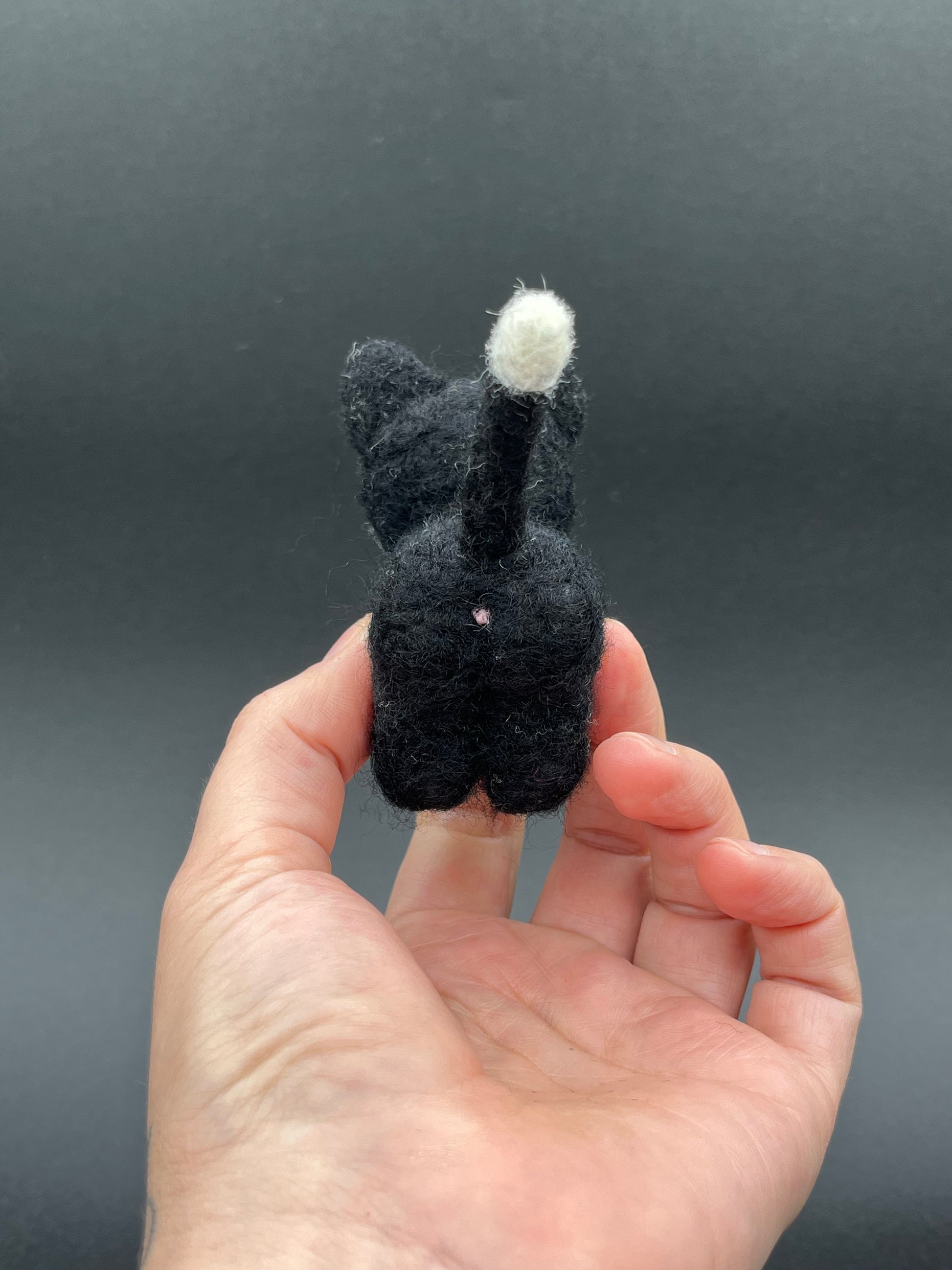 Make this cute cheeky kitty at home with the easy to follow YouTube tutorial 