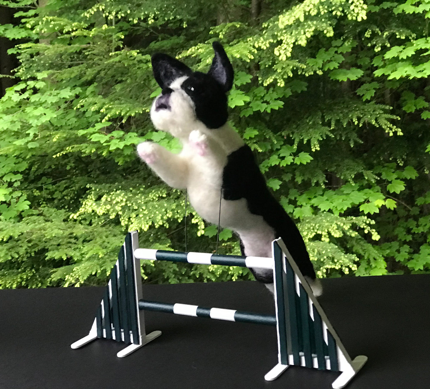 jumbo needle felted portrait of boston terrier jumping a gate